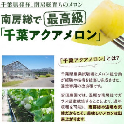 南房総市産アクアメロン(マスクメロン)12玉【まとめてお届け】　mi0018-0009