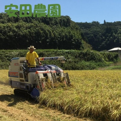 南房総市産コシヒカリ10kg