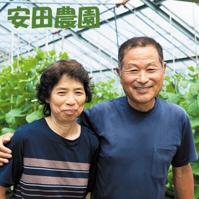 南房総市産コシヒカリ　7kg