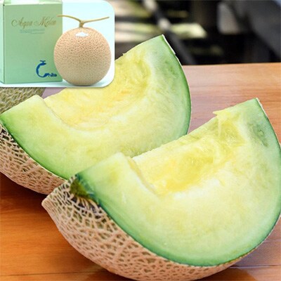 【毎月定期便】千葉アクアメロン1玉(1.2kg)全10回