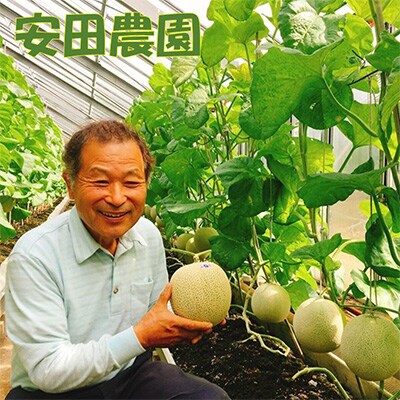 【毎月定期便】千葉アクアメロン1玉(1.2kg)全10回
