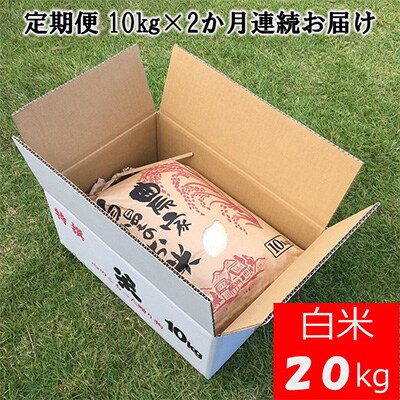 【毎月定期便】 南房総市産コシヒカリ10kg全2回