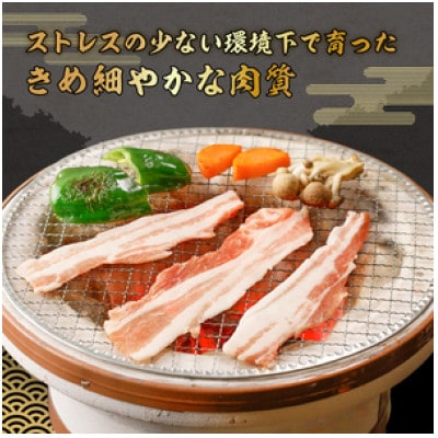 房総ブランド豚　里見和豚　鍋・すき焼き用 mi0017-0019