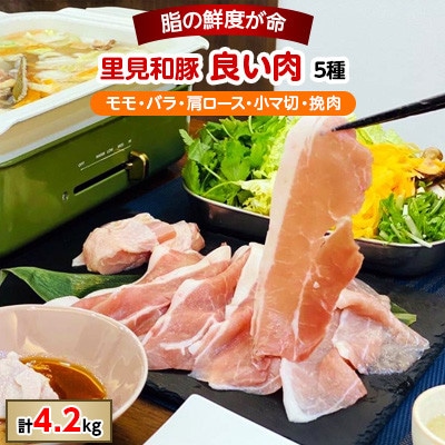 里見和豚　良い肉(4.2kgUP)　5種