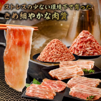 房総ブランド豚　里見和豚　4kg以上　小分け5種　計37パック　 mi0017-0004