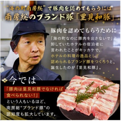 房総ブランド豚　里見和豚　食べ尽くし3.5kgUP mi0017-0022