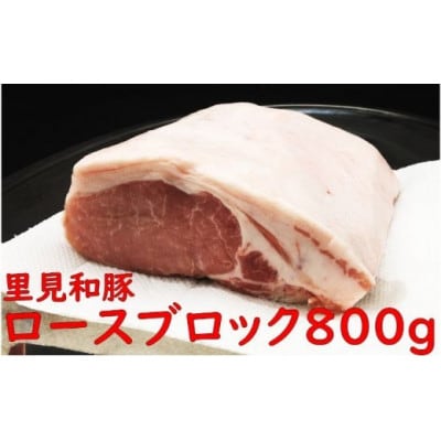 里見和豚　とんかつ用ロースブロック約400g×2パック　真空パック　白色トレイ不使用