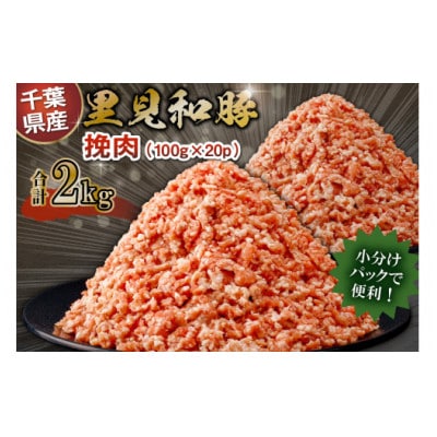房総ブランド豚　里見和豚　挽肉2kg mi0017-0016