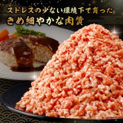 房総ブランド豚　里見和豚　挽肉2kg mi0017-0016