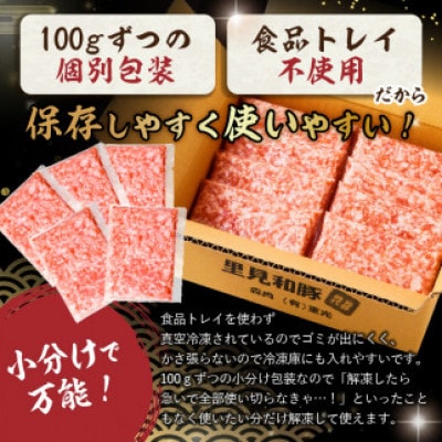 房総ブランド豚　里見和豚　挽肉2kg mi0017-0016