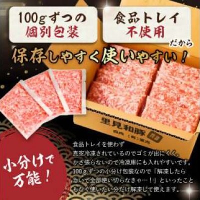 里見和豚 個別包装 挽肉800g (100g×8) トレイ不使用　mi0017-0007