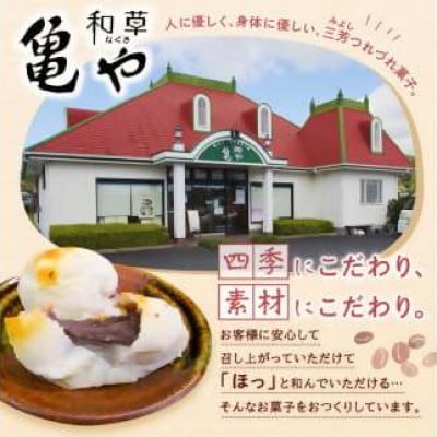 杵つき餅と自慢のあんこの「あんびん(こし餡)」50個(5個入り袋×10袋)　mi0002-0005