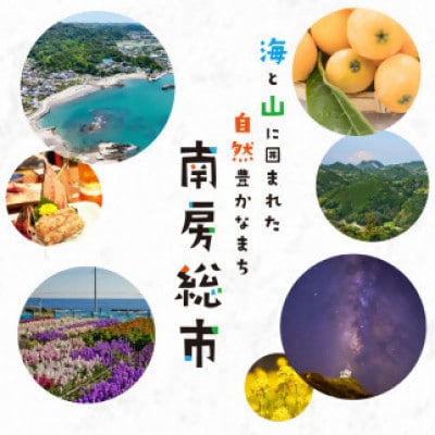 うなぎ屋のからし茄子 3パック　mi0035-0016