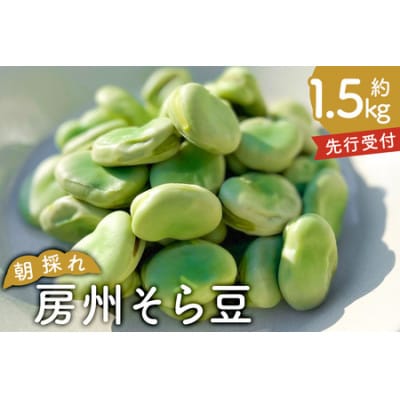 【先行受付】朝採れ房州そら豆1.5kg mi0046-0003