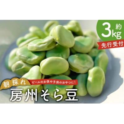 【先行受付】朝採れ房州そら豆3kg mi0046-0004