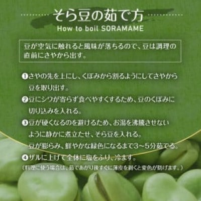 【先行受付】朝採れ房州そら豆3kg mi0046-0004