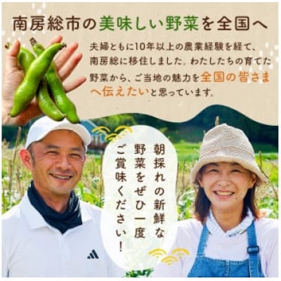 【先行受付】早朝収穫!とうもろこし10～12本(味甘ちゃん)mi0046-0008