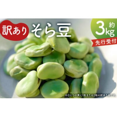 【先行受付】(訳あり)そら豆3kg mi0046-0006