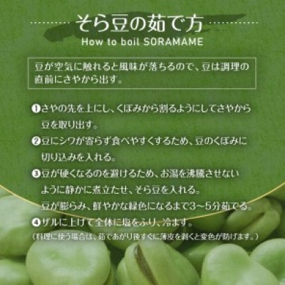 【先行受付】(訳あり)そら豆3kg mi0046-0006