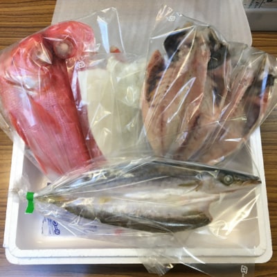 地魚厳選干物セット(アジ・キンメ・スルメイカ・カマス)国産(千葉県産)