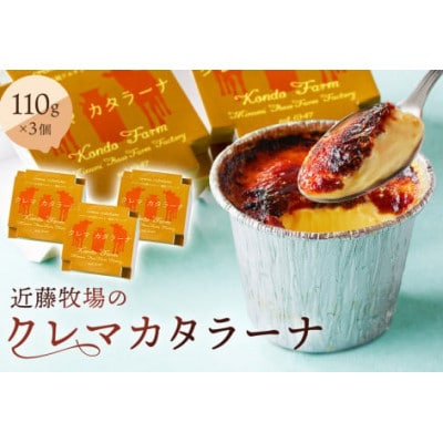近藤牧場のクレマカタラーナ 110g×3個(冷凍プリン・カタラーナ)mi0003-0005