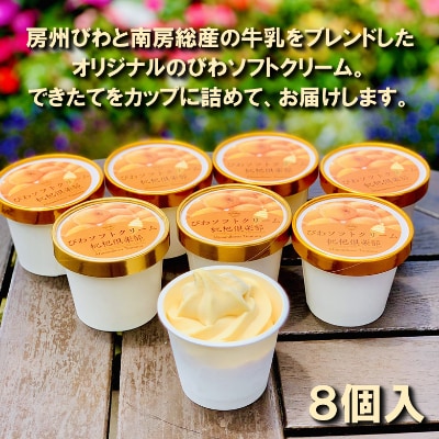 びわソフトクリームアイス8個セットmi0010-0009