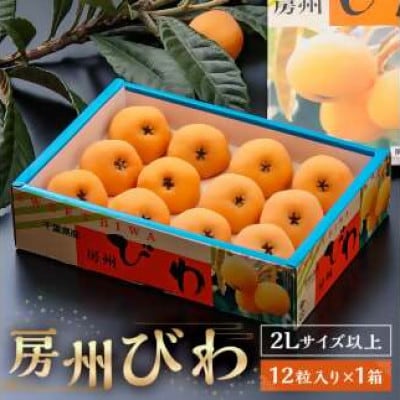 【先行受付】房州びわ(露地)12粒入2Lサイズ以上1箱【5月下旬からお届け】　mi0010-0010
