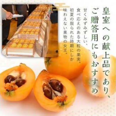 【先行受付】房州びわ(露地)12粒入2Lサイズ以上1箱【5月下旬からお届け】　mi0010-0010