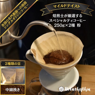 【2025年2月下旬発送】スペシャルティコーヒー【マイルドテイスト】 250g×2種類【粉】