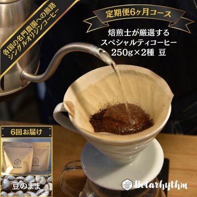 【定期便】【豆】スペシャルティコーヒー豆 焙煎士セレクト250g×2種6回　mi0043-0005