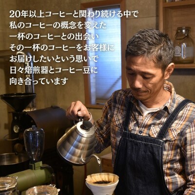 【定期便】【粉】スペシャルティコーヒー豆 焙煎士セレクト250g×2種6回　mi0043-0006