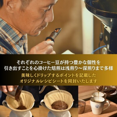 【毎月定期便】スペシャルティコーヒー豆 焙煎士セレクト250g×2種【豆のまま】全6回
