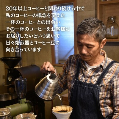 【毎月定期便】スペシャルティコーヒー豆 焙煎士セレクト250g×2種【豆のまま】全6回
