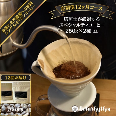 【毎月定期便】スペシャルティコーヒー豆 焙煎士セレクト250g×2種【豆のまま】全12回