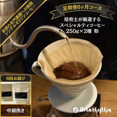 【毎月定期便】スペシャルティコーヒー豆 焙煎士セレクト250g×2種【中細挽き】全6回