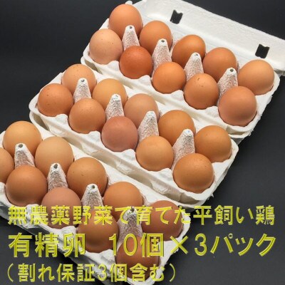 有精卵 10個×3パック(割れ保証3個含む) 栽培期間農薬不使用野菜で育てた平飼い鶏