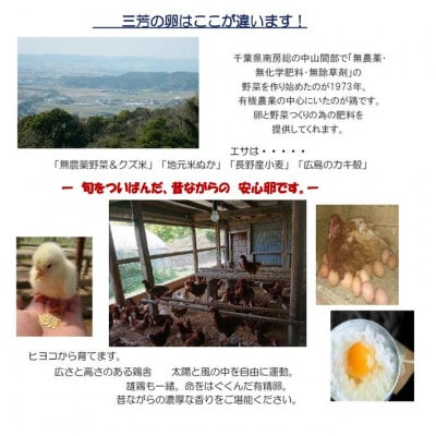 有精卵 10個×3パック(割れ保証3個含む) 栽培期間農薬不使用野菜で育てた平飼い鶏