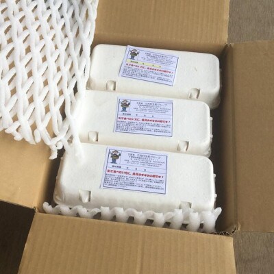 有精卵 10個×3パック(割れ保証3個含む) 栽培期間農薬不使用野菜で育てた平飼い鶏