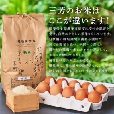 卵かけご飯セット(有精卵10個(割れ保証1個含む)とひとめぼれ白米2kg)mi0036-0003