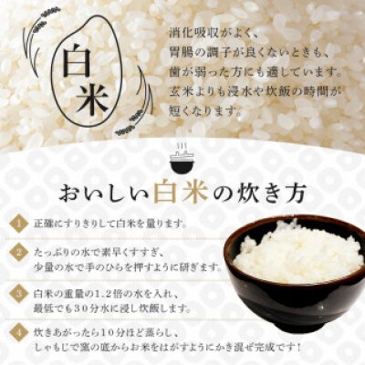 卵かけご飯セット(有精卵10個(割れ保証1個含む)とこしひかり白米2kg)mi0036-0005