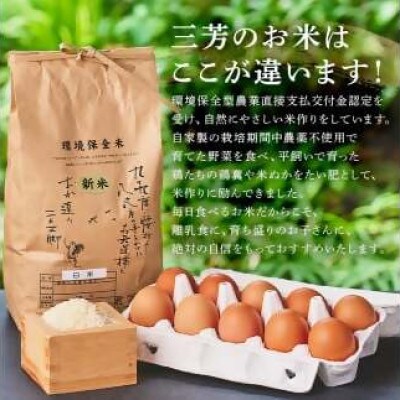 卵かけご飯セット(有精卵10個(割れ保証1個含む)とこしひかり白米2kg)mi0036-0005