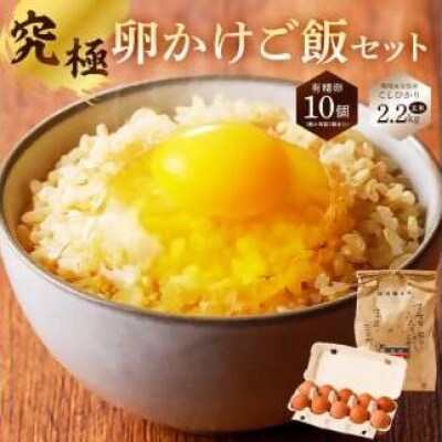卵かけご飯セット 有精卵10個(割れ保証1個含)とこしひかり玄米2.2kgmi0036-0006