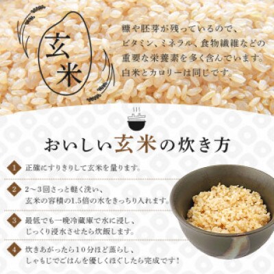 卵かけご飯セット 有精卵10個(割れ保証1個含)とこしひかり玄米2.2kgmi0036-0006