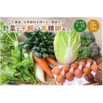 関東限定 5月発送　栽培期間中農薬・化学肥料を持たない農家の野菜(7～10種類)と平飼有精卵のセット