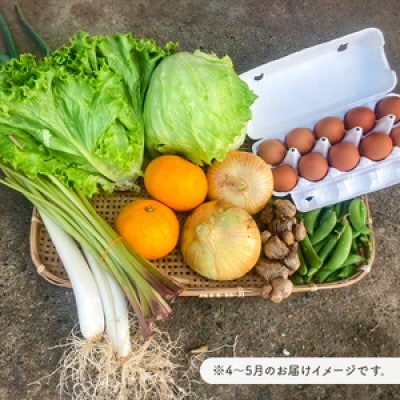 関東限定 5月発送　栽培期間中農薬・化学肥料を持たない農家の野菜(7～10種類)と平飼有精卵のセット
