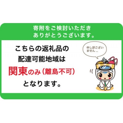 関東限定 5月発送　栽培期間中農薬・化学肥料を持たない農家の野菜(7～10種類)と平飼有精卵のセット