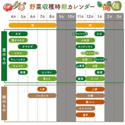 関東限定 5月発送　栽培期間中農薬・化学肥料を持たない農家の野菜(7～10種類)と平飼有精卵のセット