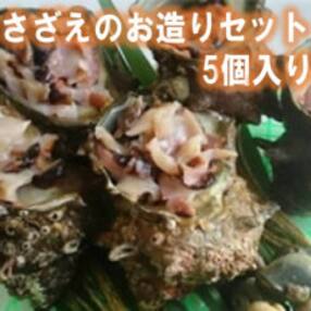 ★気分は料亭★ジャンボサザエ お造りセット　5個入り