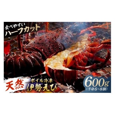 【天然】ボイル冷凍伊勢海老 ハーフカット600g(半身6～8個) mi0020-0013