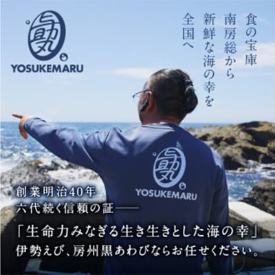 【天然】ボイル冷凍伊勢海老 ハーフカット600g(半身6～8個) mi0020-0013